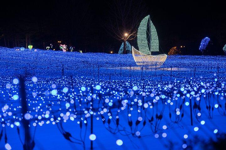 Make Your Trip Around Nami Island With an Expert(DSLR option)