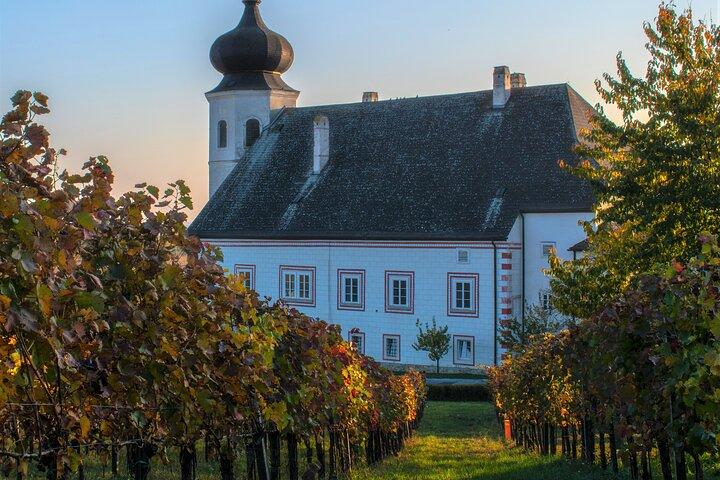 Vienna Woods Wine Tour - Vinhos, Vinhas e Bons Tempos!