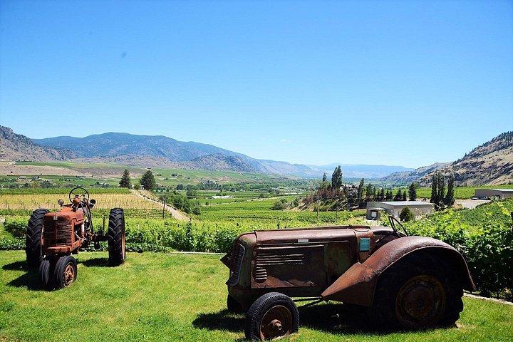 Oliver & Osoyoos Private Wine Tour - Full Day