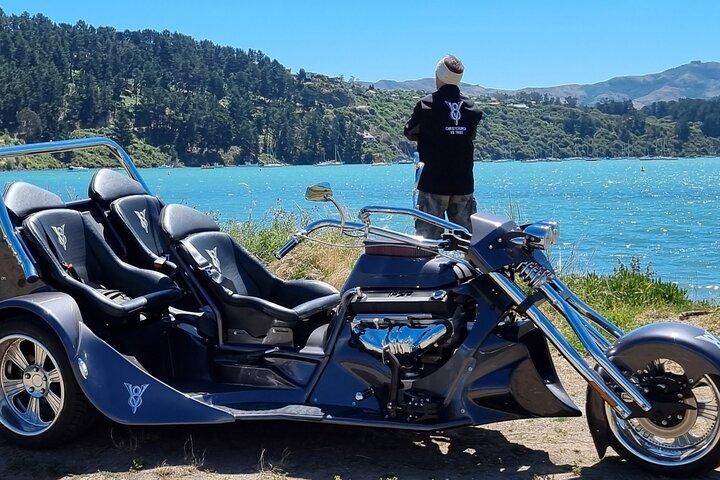 Privat krydstogtskibspassagertur, sightseeing i Christchurch
