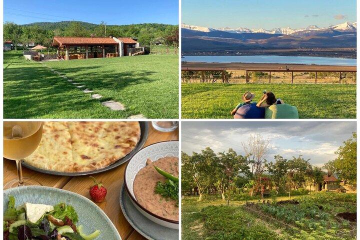 Ridning ved søsiden nær Tbilisi med frokost på gård til bord-restaurant