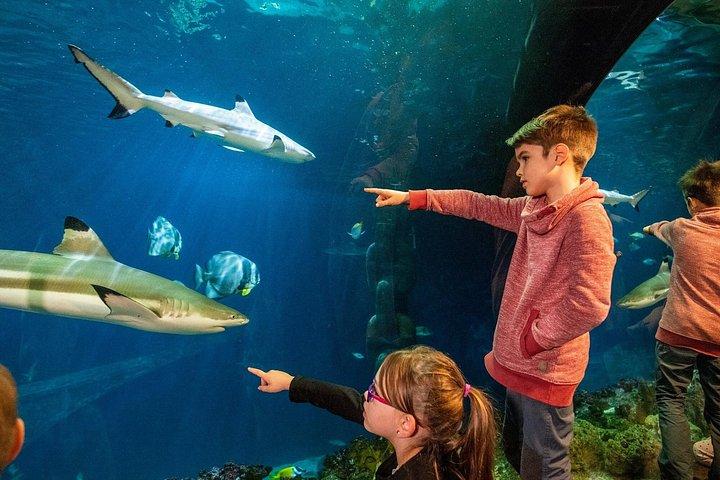 SEA LIFE Speyer Admission Ticket