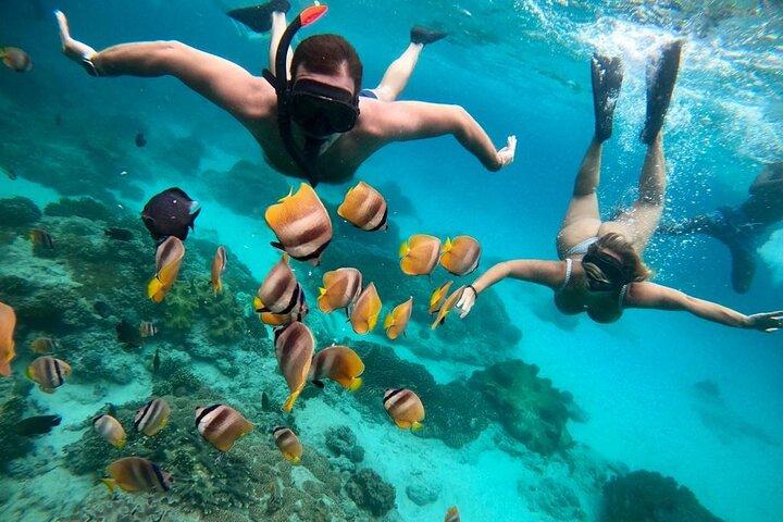 Bali Blue Lagoon y Tanjung Jepun Snorkeling con Todo Incluido