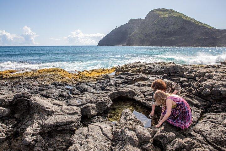 Tour privado personalizado de Oahu