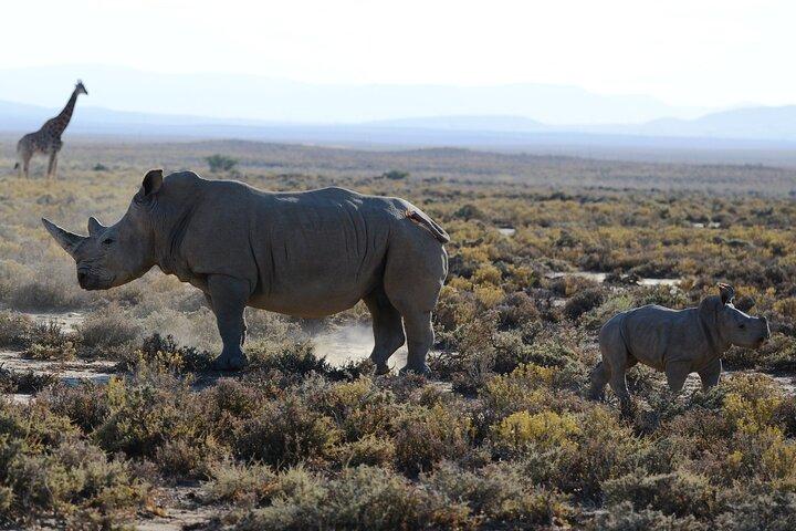 Zanzibar: Safari magique privé de 2 jours au cratère de Ngorongoro