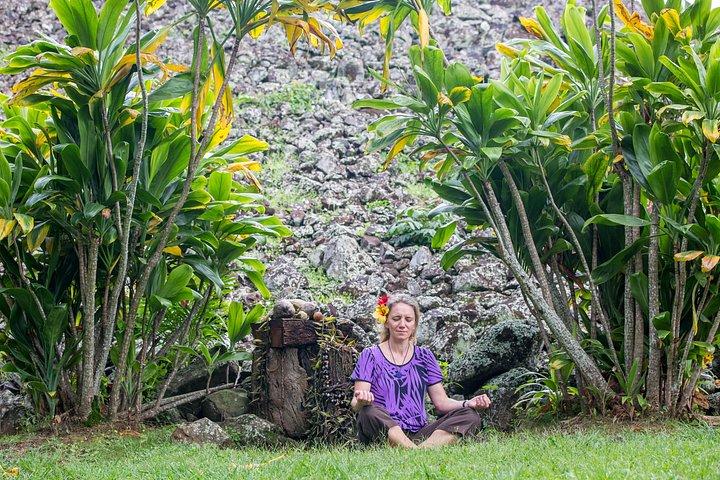 Oahu Off the Beaten Path Small-Group Tour from Honolulu