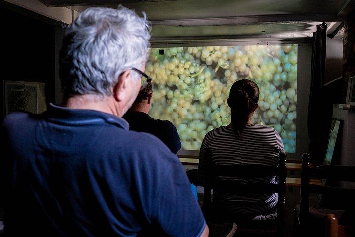 Immersive cellar tour-tasting and Alsatian tea time