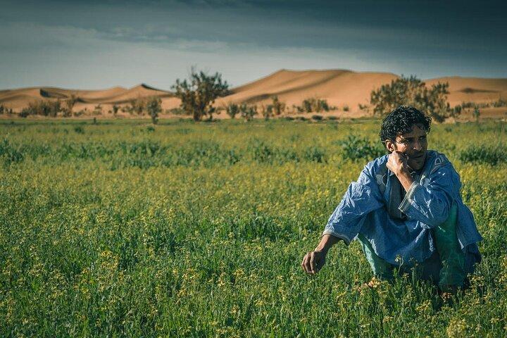 2 Days Private Tour to Discover Sahara from Mhamid