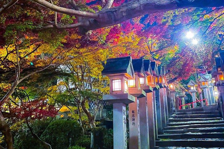 大阪・京都・奈良の隠れた名所 - 地元ガイドによる専用車ツアー