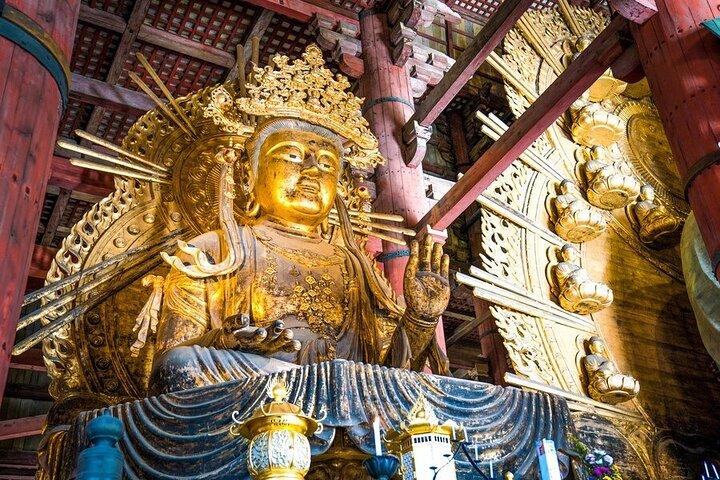 Visite privée d'une journée des points forts d'Arashiyama et de Nara