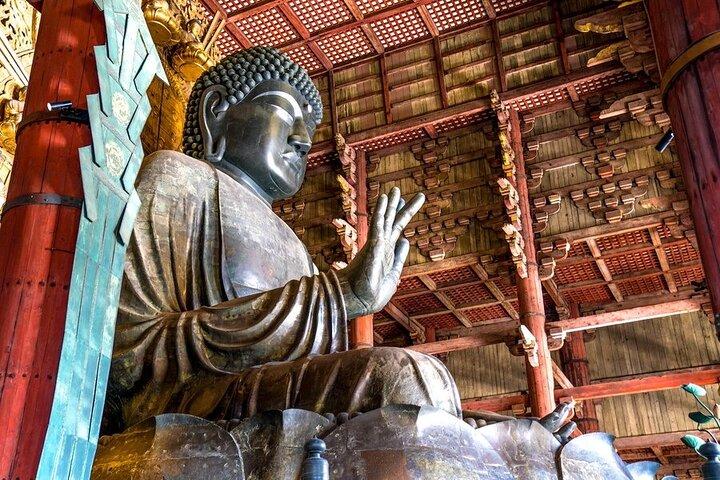 Visite privée d'une journée des points forts d'Arashiyama et de Nara