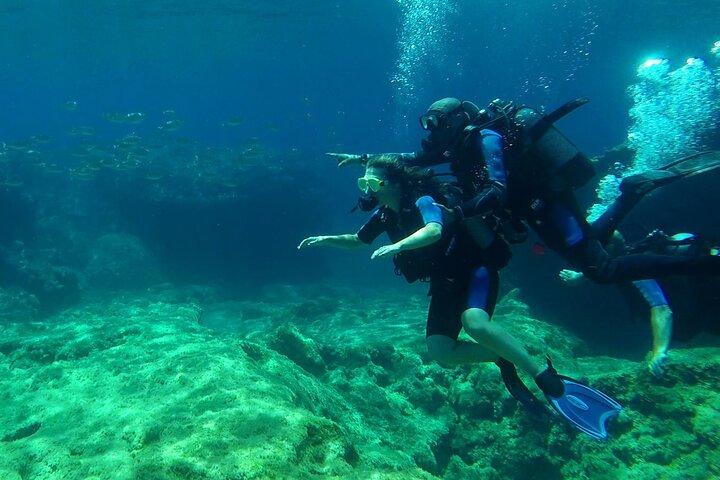 SCUBA DIVE: Exploração Subaquática de Kallithea