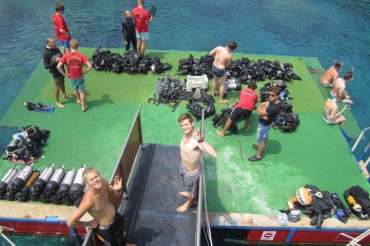 SCUBA DIVE : Kallitheas Unterwassererkundung