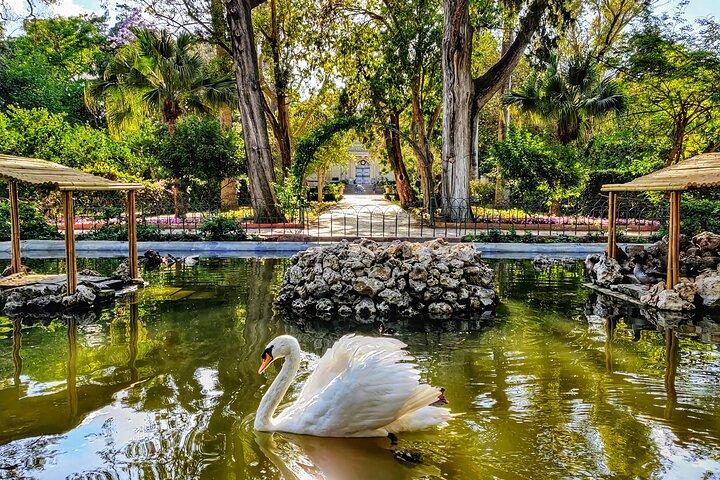 Mdina, Dingli Cliffs och San Anton Gardens Halvdagstur