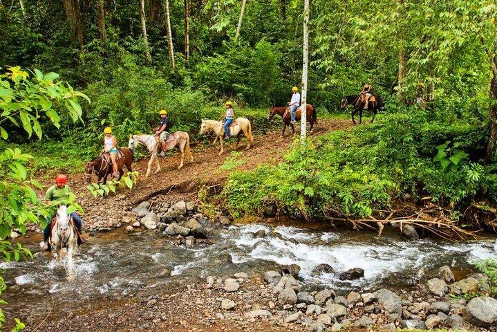 Pass journée complète Jaco Jungle Adventure Cinq en un avec déjeuner
