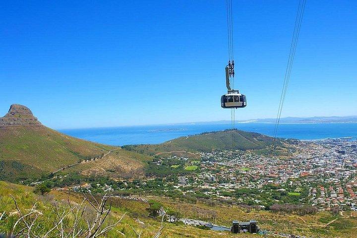 Table Mountain, pinguini e Cape Point Tour privato con tariffe di cancello