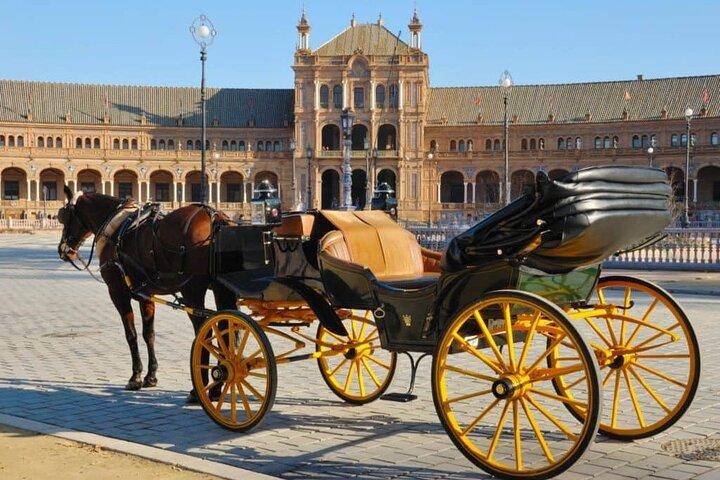 Private Sevilla Tour voor gezinnen met kinderen en tieners ...