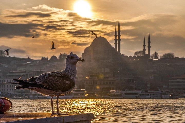 Istanbul Express 1 or 2 Day City's Highlights Private Guided Tour