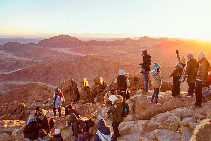 Tour di un'intera giornata Escursione sul Monte Sinai e Monastero di Santa Caterina