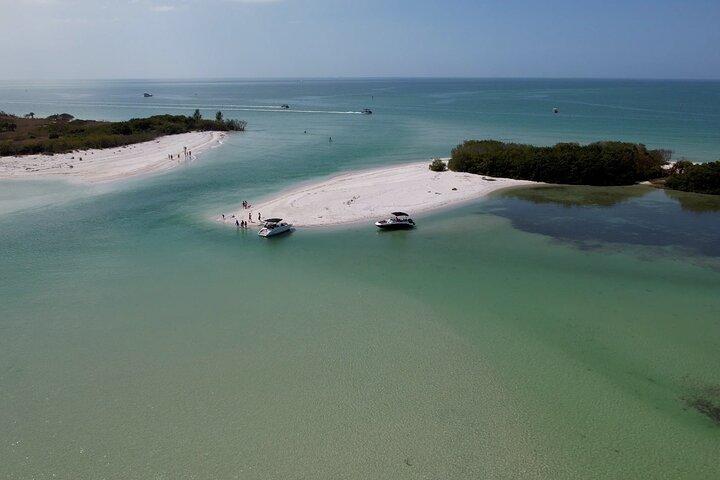 Aventure d'observation et de bombardement des dauphins à St. Pete