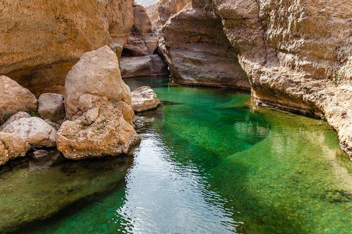 Heldags privat tur till Wadi Shab, Fins stränder och Wadi Dayqah