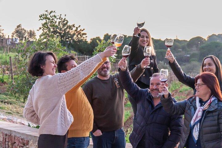 Porches Algarve Vineyard Tour and Wine Tasting Experience