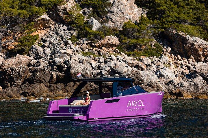 Privat lyxyachttur från Dubrovnik