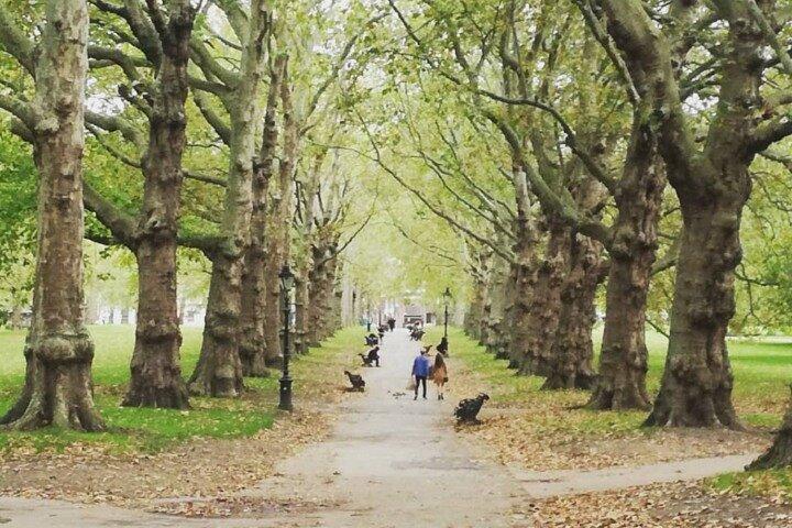 Londres sans la foule