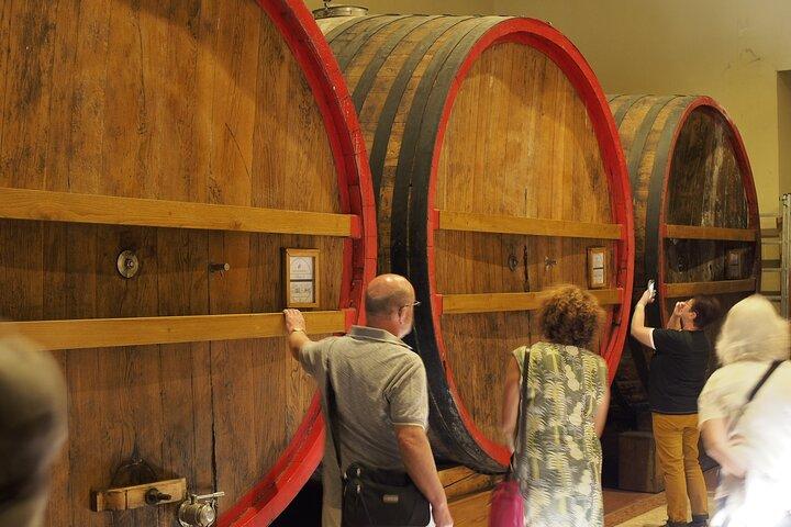 Du lac de Garde: excursion guidée d'une journée complète autour du vin et du déjeuner à Valpolicella