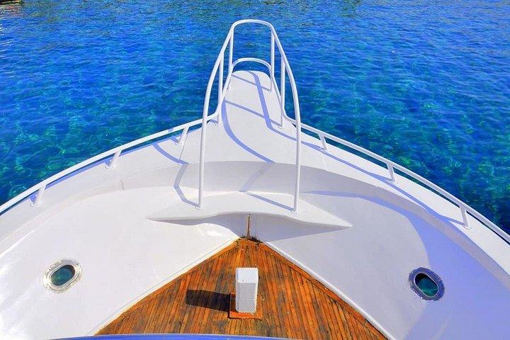 Ras Mohamed & White Island Snorkeling or Scuba Diving trip
