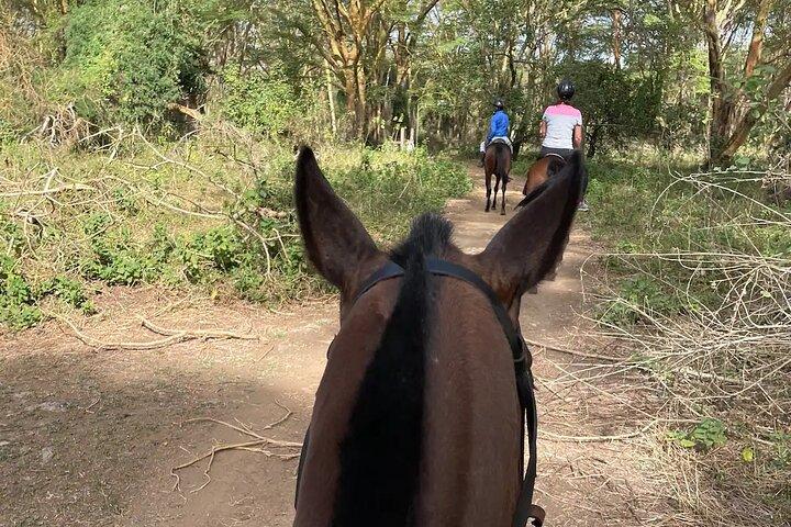 Expérience équestre à Nairobi dans la forêt de Karura