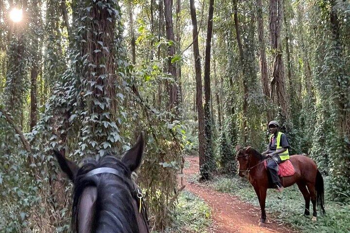 Nairobi Paardrij-ervaring in het Karura-bos