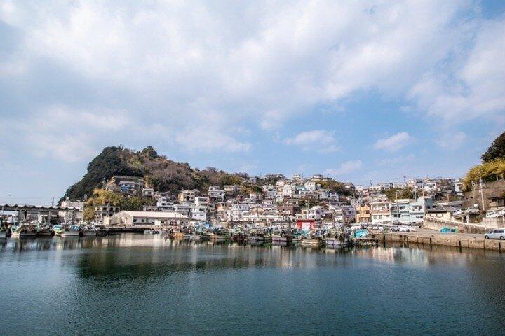 和歌山城と黒潮市場の1日ツアー