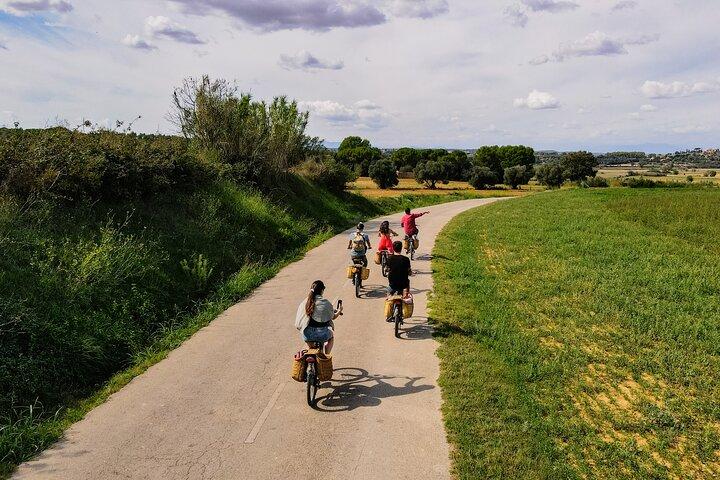Heldags Costa Brava och elcyklar guidad tur från Barcelona