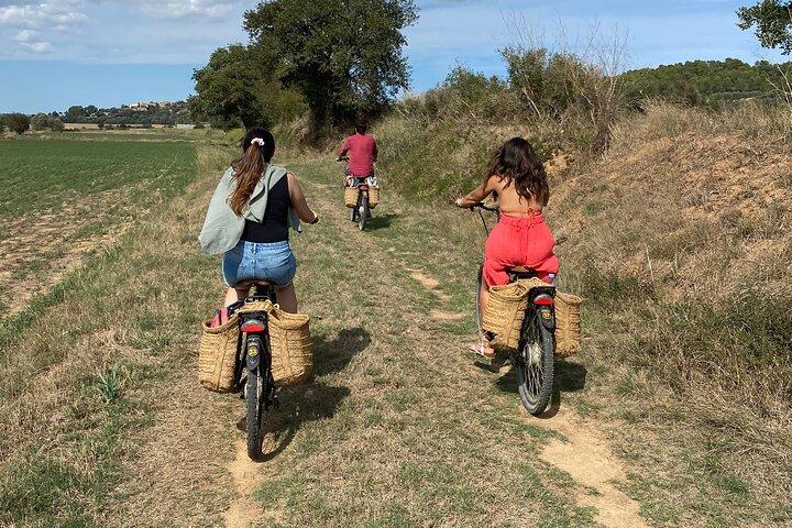 Heldags Costa Brava og E-Bikes guidet tur fra Barcelona