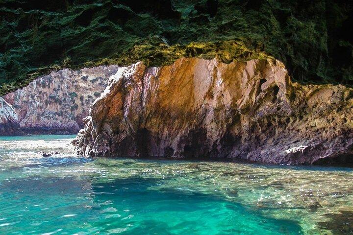Tour privato Berlenga Grande Island da Lisbona