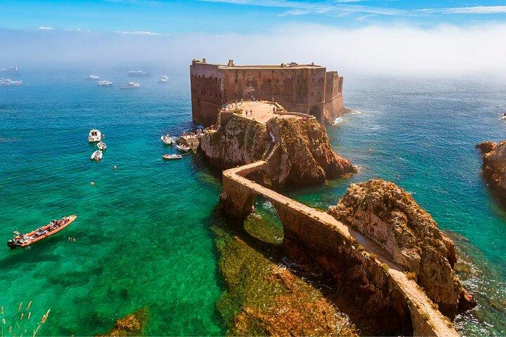 Excursion privée sur l'île de Berlenga Grande depuis Lisbonne