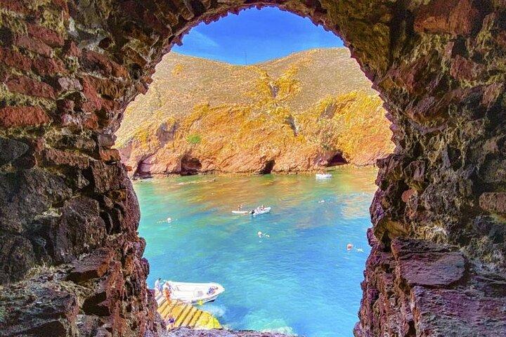 Tour privato Berlenga Grande Island da Lisbona