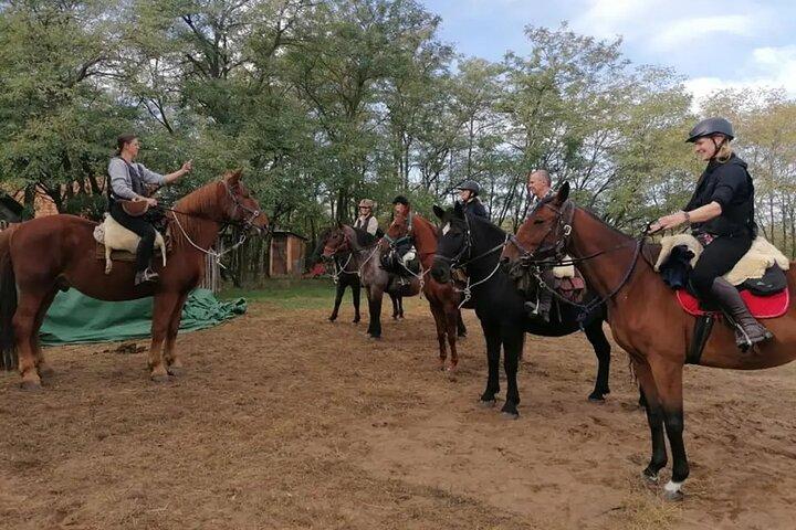 田舎でのプライベート乗馬と送迎付きランチ