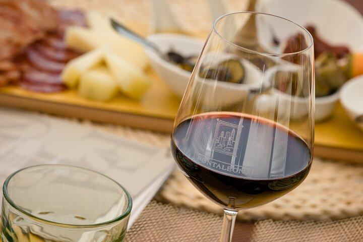 San Gimignano: Visita guiada à adega e almoço com degustação