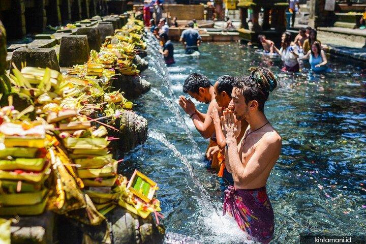 Ubud : Bosque de Monos, Columpio de la Selva, Terraza de Arroz y Templo del Agua