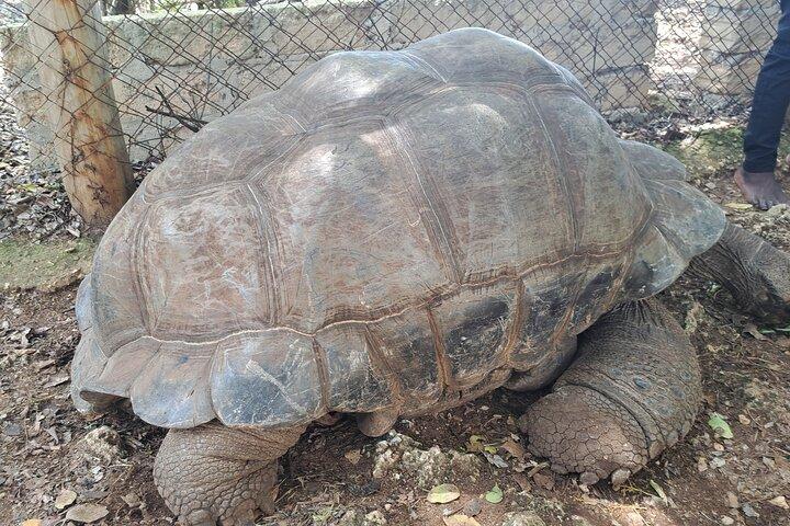 刑務所島とナクペンダ砂州の終日ツアー