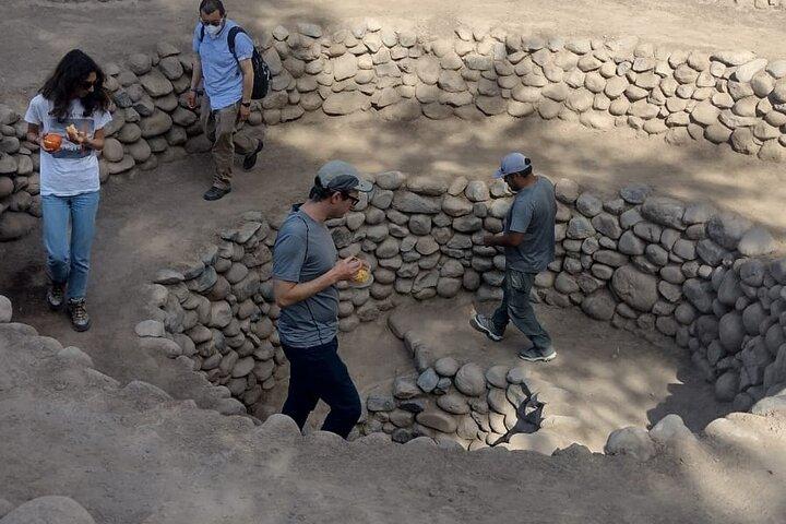 Guided Cantalloc Aqueduct Tour in Nazca - Small Group