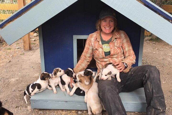 Yukon Husky Puppy speeltijd en toptour