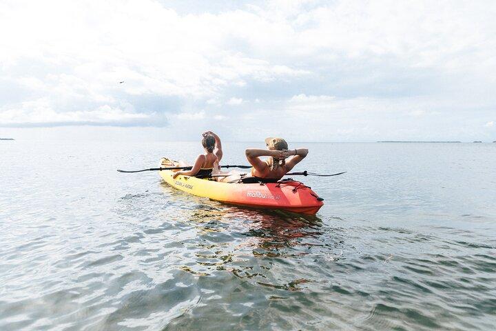Kajak + Guidad Snorkel & Morgon Segel med Honest Eco som värd