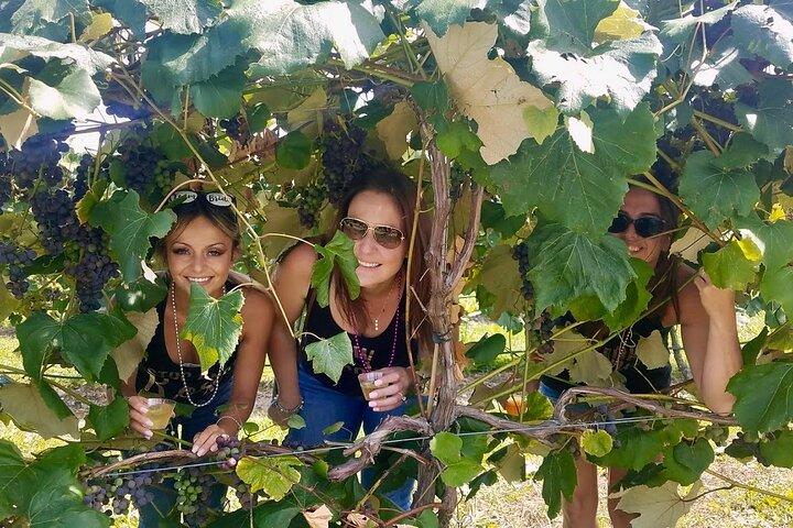 All-Inclusive-VIP-Wein- oder Biertour im Hudson Valley
