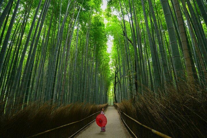 Kyoto Arashiyama Bambù, Tempio, Scimmia o Birrificio di Montagna Locale