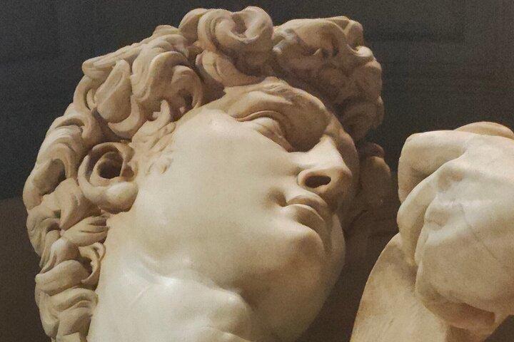 Excursão guiada skip-the-line do David de Michelangelo em Florença