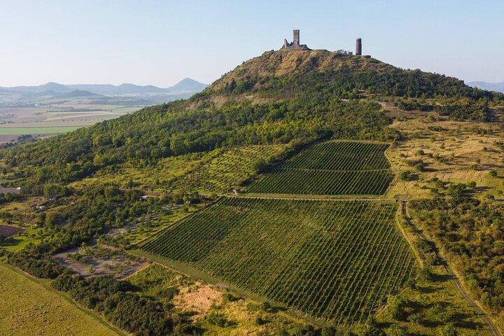 Uma deliciosa degustação de vinhos na paisagem campestre com almoço