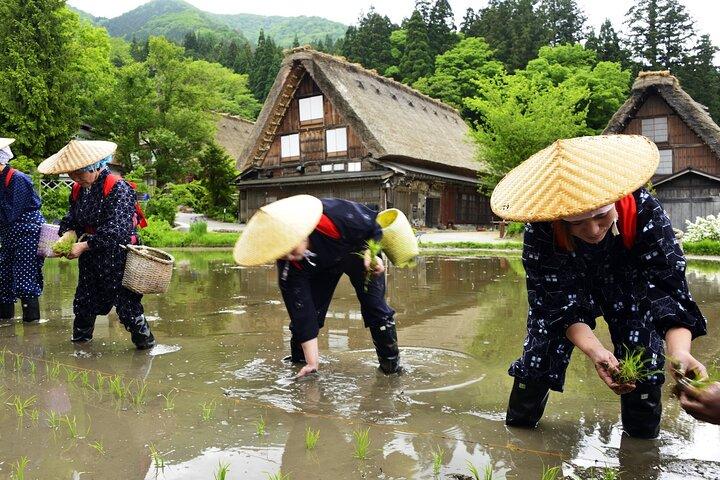 白川郷日帰り旅行：高山からの政府認可ガイドと車両